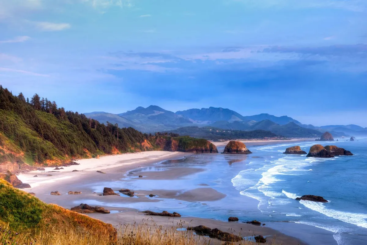A beautiful coastal scene featuring Oceanside Beach, with gentle ocean waves, rock formations, distant mountains, and expansive shoreline. The tranquil atmosphere invites exploration, beachcombing, and playtime with pets.