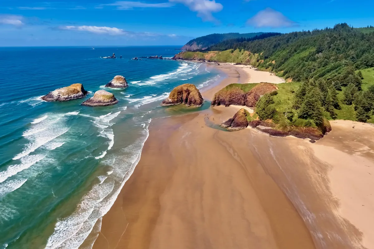 A panoramic view of a sandy beach bordered by ocean waves and striking rock formations, backed by lush greenery and an open sky. The scene is vibrant, inviting families to explore, build sandcastles, or enjoy a picnic along the shore.
